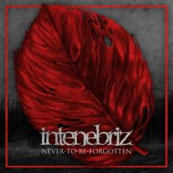 In Tenebriz : Never-to-Be-Forgotten